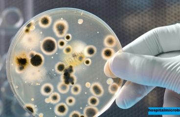 Laporan Kerjasama Penelitian Mikrobioma di Rumah Sakit USA