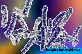 Bakteri Legionella Ditemukan di Rumah Sakit Chicago