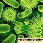 Penelitian Tentang Mikroba Terapeutik untuk Mengatasi Penyakit