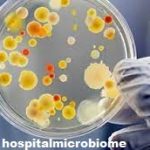Kontribusi mikroba untuk makroekologi