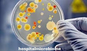 Kontribusi mikroba untuk makroekologi