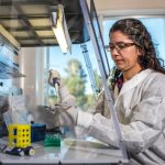 Ilmuwan NAU Mengembangkan Teknik Untuk Mengukur Tingkat Pertumbuhan Bakteri