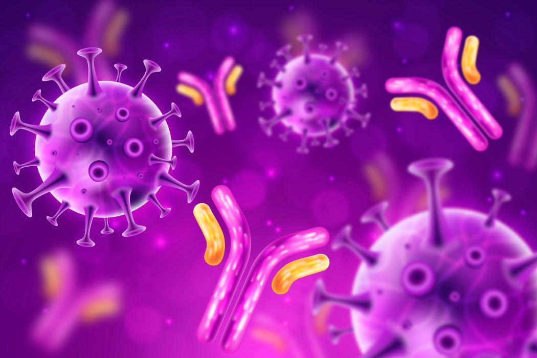 Tempat Bakteri Hidup Dan Di Dalam Tubuh Anda