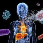 Mengubah Penelitian Microbiome Menjadi Kekuatan Untuk Kesehatan