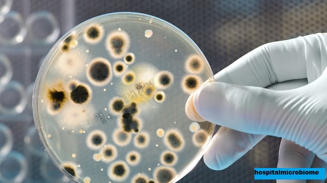 Laporan Kerjasama Penelitian Mikrobioma di Rumah Sakit USA