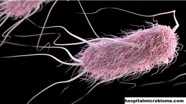 Banyaknya Sel Mikroorganisme Tubuh Yang Perlu Kalian Ketahui