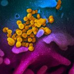 Studi Rumah Sakit Menunjukkan Bagaimana Bakteri Menyebar Di Antara Pasien, Staf, Permukaan